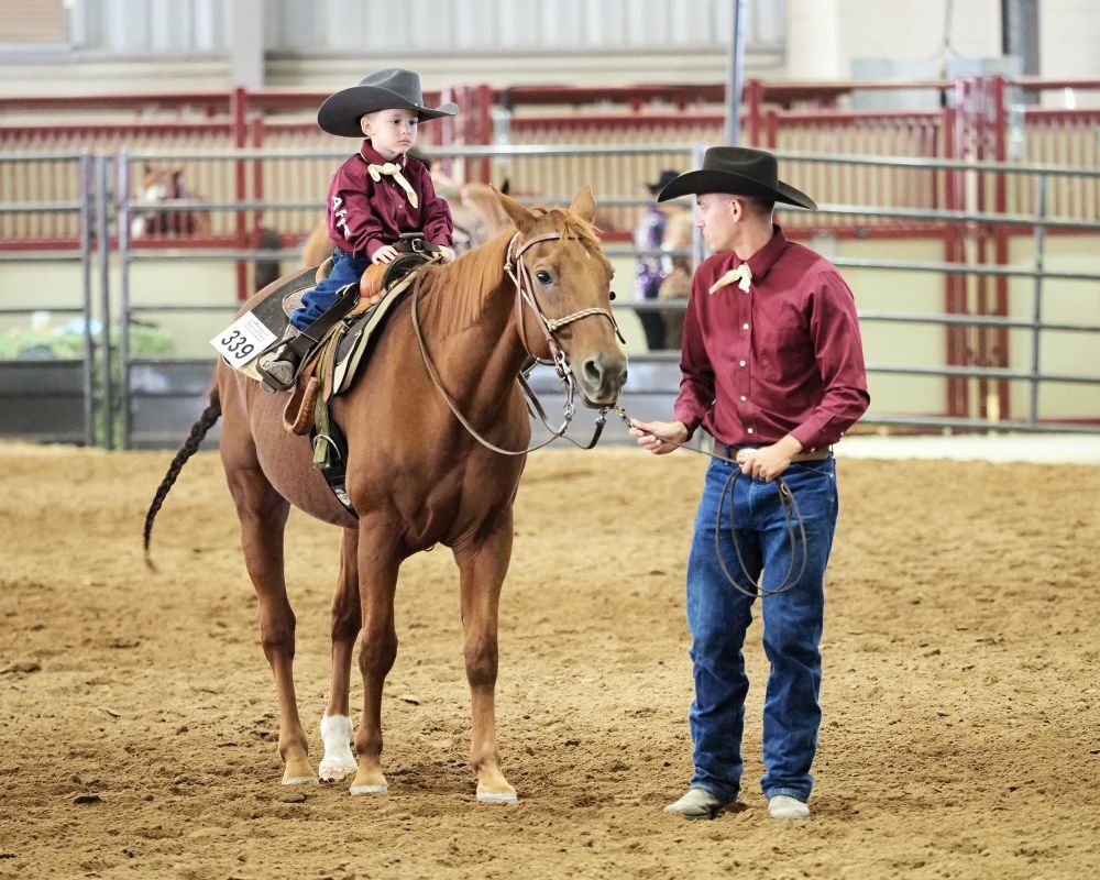 Horse show